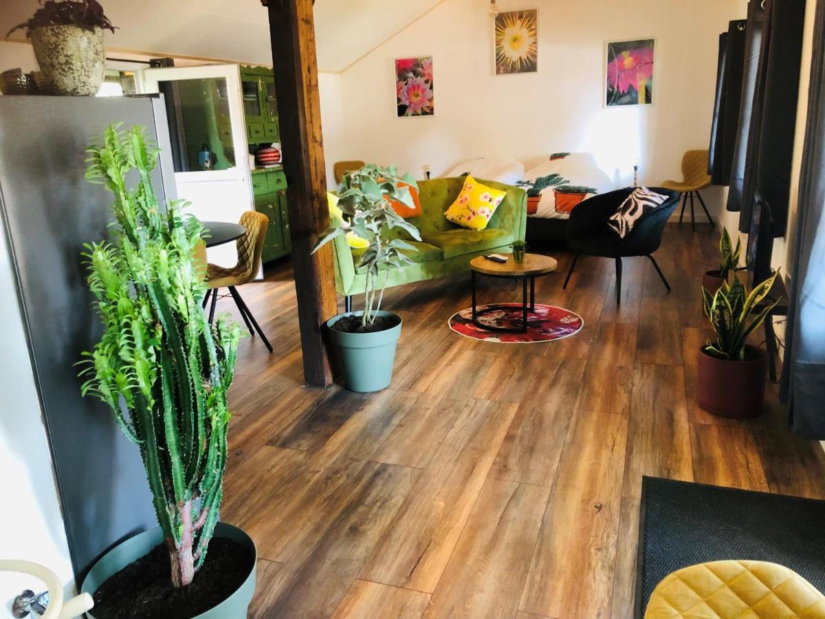 Bed and breakfast B &B Yuupke Maasbree Noord-Limburg Venlo Roermond Extérieur photo