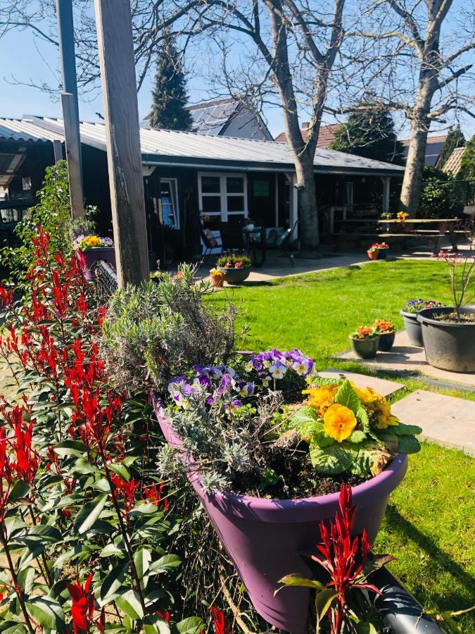 Bed and breakfast B &B Yuupke Maasbree Noord-Limburg Venlo Roermond Extérieur photo