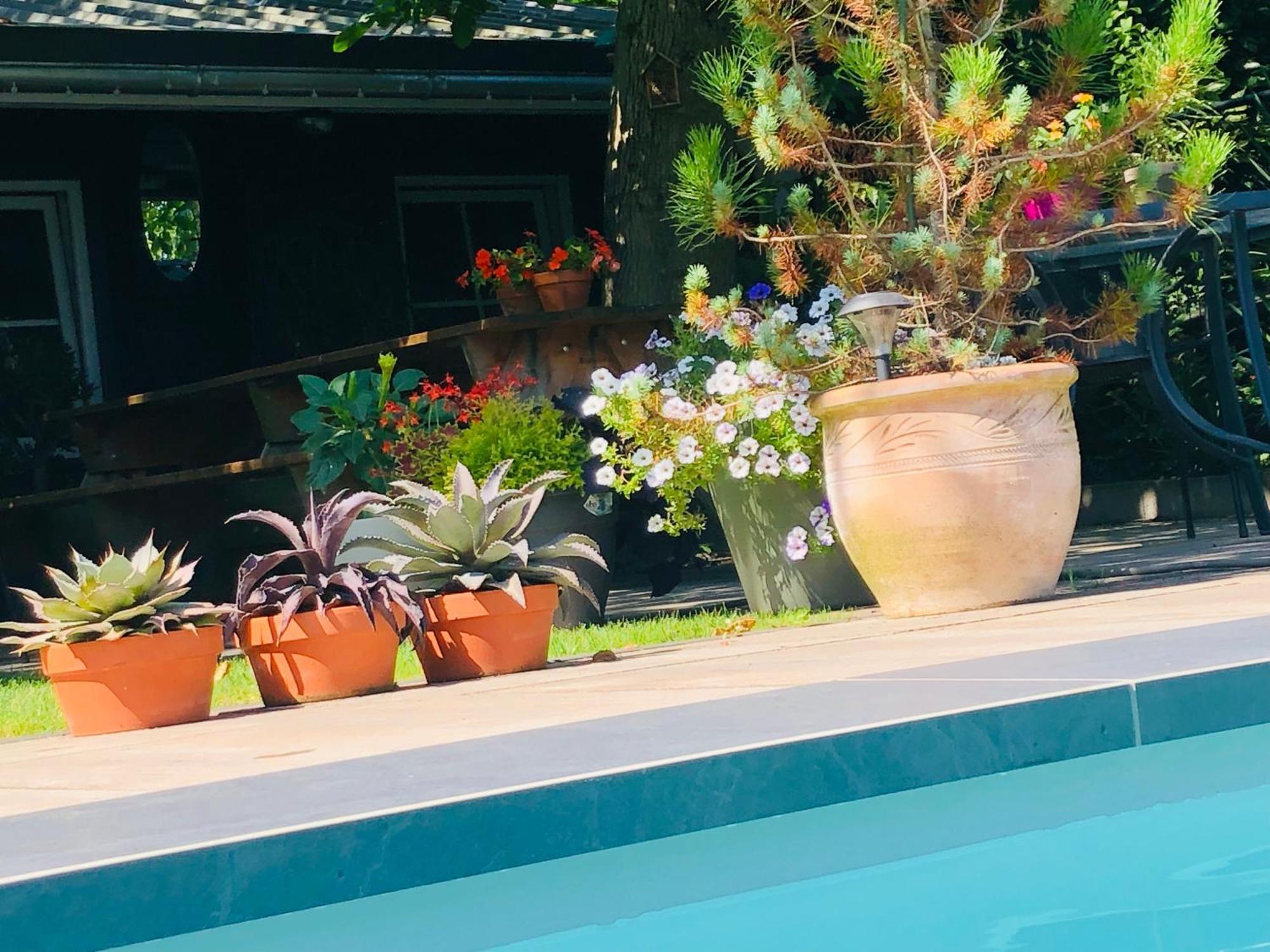 Bed and breakfast B &B Yuupke Maasbree Noord-Limburg Venlo Roermond Extérieur photo